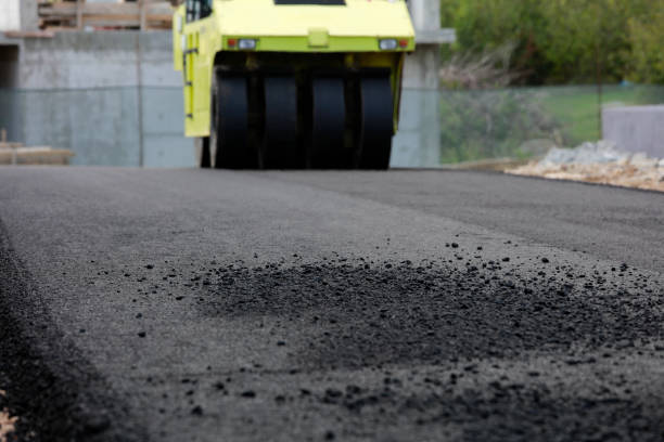 Best Custom Driveway Pavers  in Westchase, FL