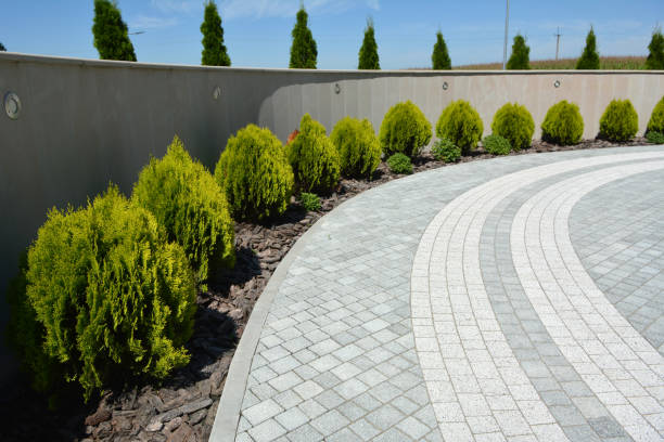 Residential Paver Driveway in Westchase, FL